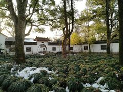 -西湖风景区十里琅珰-五云山