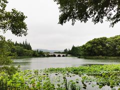 -尚湖风景区