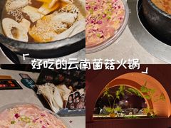 -芸山季·云南野生菌火锅(宝能环球汇店)