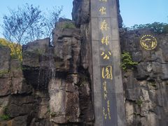 -大围山国家森林公园