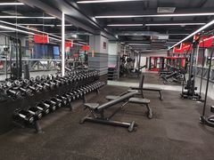 -金吉鸟健身游泳