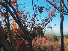 -北京十三陵国家森林公园蟒山景区