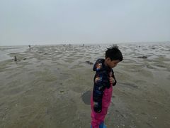 -北海金海湾红树林生态旅游区