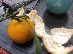 -大田塱鸽庄