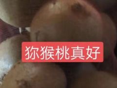 -果蔬好生活超市(双井店)