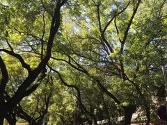 -北京国子监胡同
