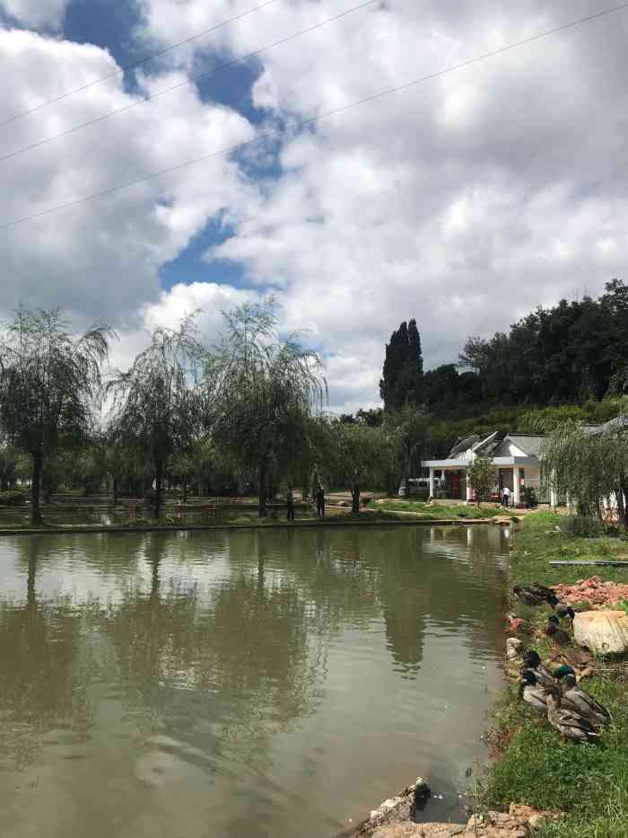 沙朗智水渔村休闲农庄-"跟着导航来的,不难找.里面好几个鱼塘,还.