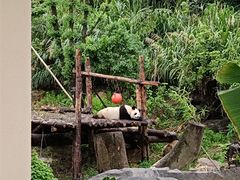 -宁波野生动物园