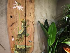 -慢丽江·云南野生菌土鸡锅(西山店)