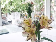 -蝶舍·MAISON PAPILLON