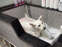-宠物家(角门东店)
