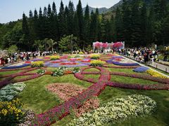 -深圳仙湖植物园