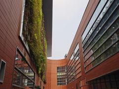 -重庆际华园室内极限运动中心