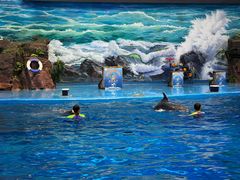 -多彩贵州城极地海洋世界