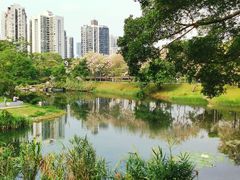 -四海公园(南山区)