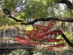 -叶家花园