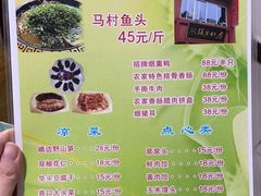 -马村鱼头