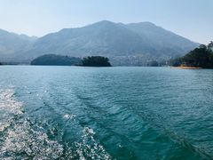 -广州市流溪河国家森林公园