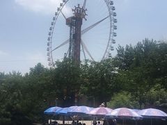 -辛玛王国游乐园