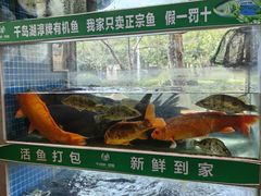-全乐鱼馆·淳牌有机鱼直营店