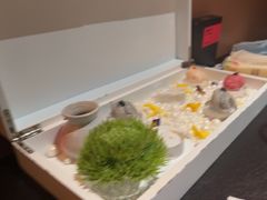 御品合丸拼-色響火锅(恒隆广场店)