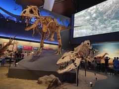 -贝林大翅鲸简餐厅(国家海洋博物馆店)