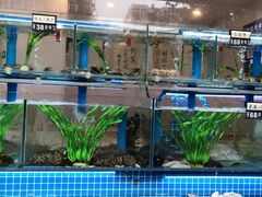 水产区-富临港·蒸汽海鲜·手抓海鲜·炒菜(栈桥店)