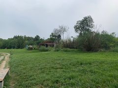 -桤木河湿地公园