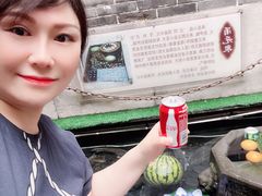 -燕喜堂·中华老字号(大明湖店)