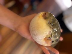 -永安鱼庄·镇江菜(丁卯店)