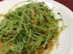 -食锦斋(塔头店)