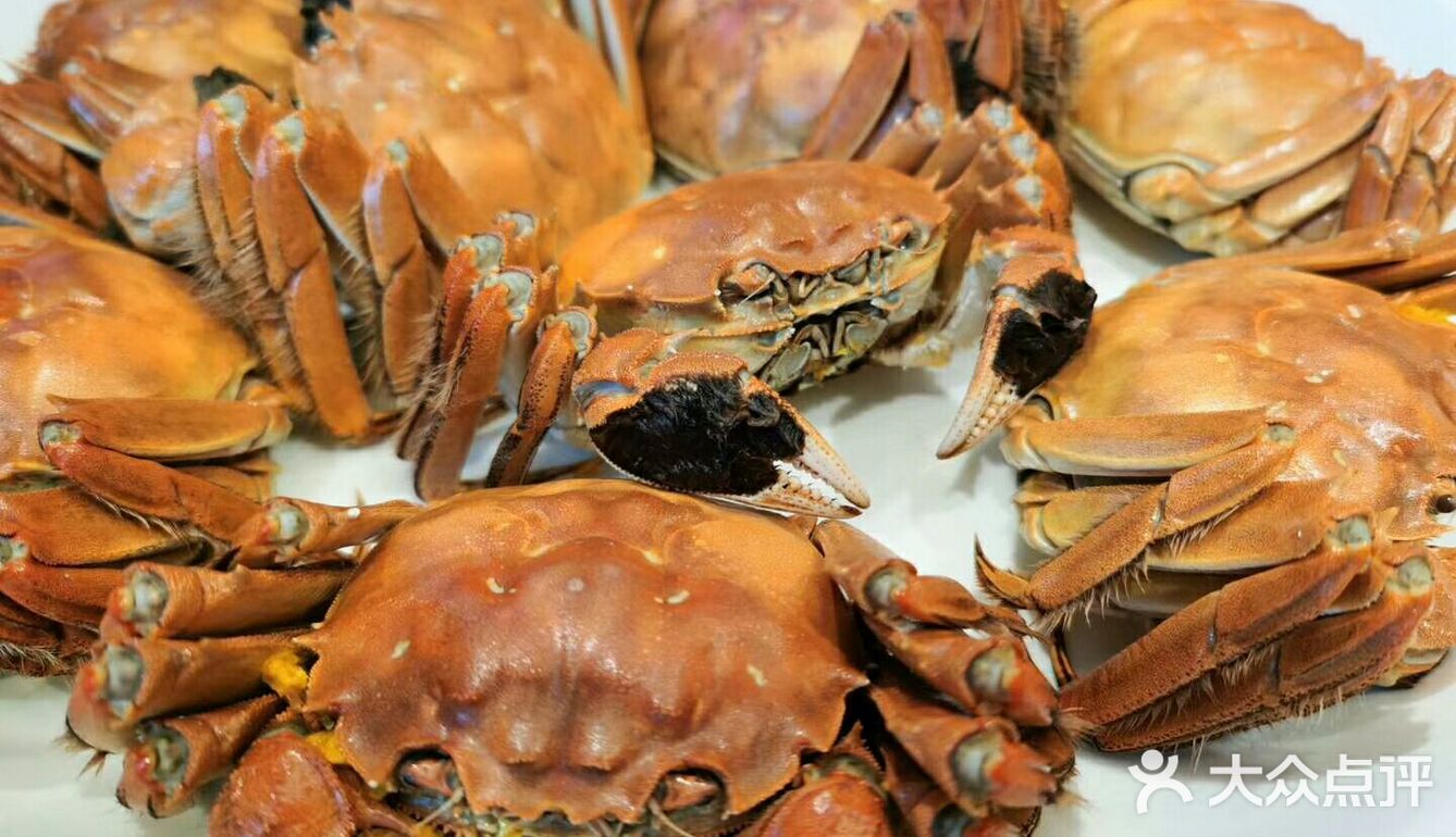 正宗的阳澄湖大闸蟹
