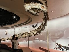 -自贡恐龙博物馆