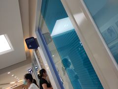 -天津大学爱尔眼科医院(天津总院)
