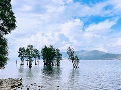 -大理洱海