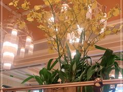 大堂-福楼法餐厅FLO