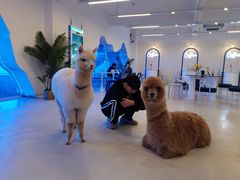 -Blue Concept Cafe&Farm·關於藍