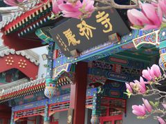 -天津大悲禅院