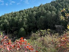 -龙洞风景区-藏龙涧