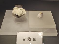 -贵州省地质博物馆