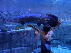 -成都浩海立方海洋公园