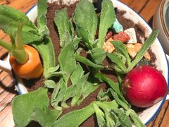 盆栽土豆泥-嘉禾·悦享餐厅(八方汇店)