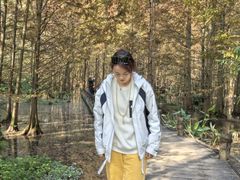 -桤木河湿地公园