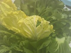 -草原传奇鲜羊火锅(桥北店)