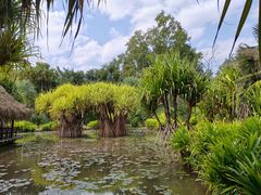 -中国科学院西双版纳热带植物园