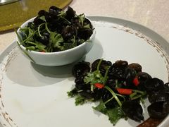 -天福苑(崇宁路店)