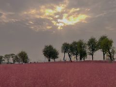 -汉长安城未央宫国家考古遗址公园