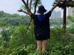 -重庆彩云湖湿地公园