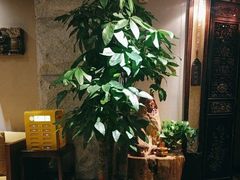 -樱蘭全息养生馆(三里屯店)