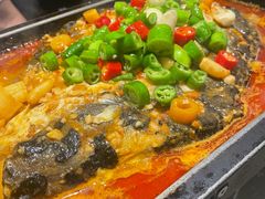 湄公鱼-炉鱼(亲橙里店)